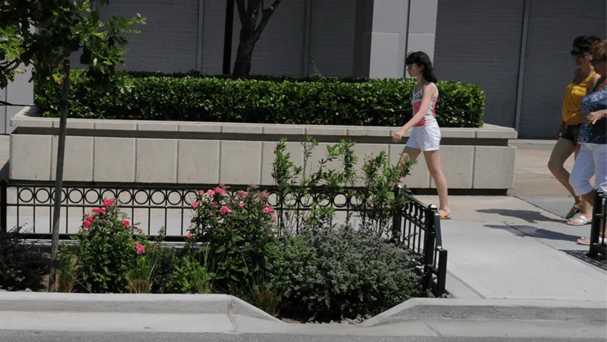 Cities Go Green: Smart Stormwater Takes the Lead