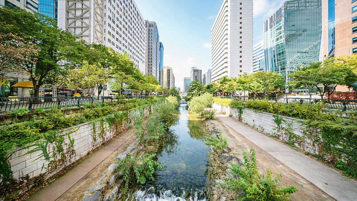Urban stormwater channel lined with greenery between tall buildings in city center