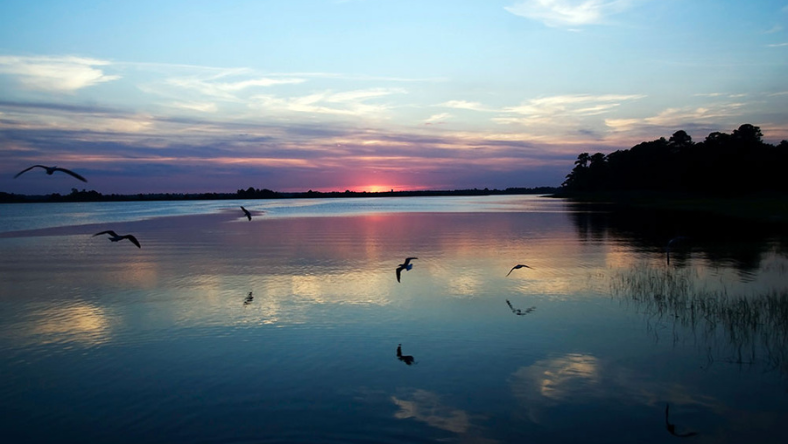 Birds flying over a calm river at sunset with reflections on the water